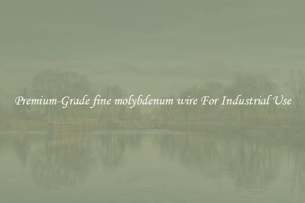 Premium-Grade fine molybdenum wire For Industrial Use
