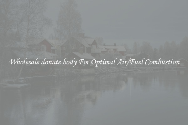 Wholesale donate body For Optimal Air/Fuel Combustion