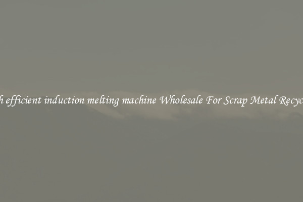 high efficient induction melting machine Wholesale For Scrap Metal Recycling