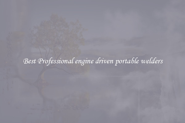 Best Professional engine driven portable welders