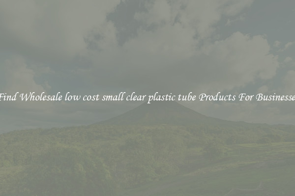 Find Wholesale low cost small clear plastic tube Products For Businesses