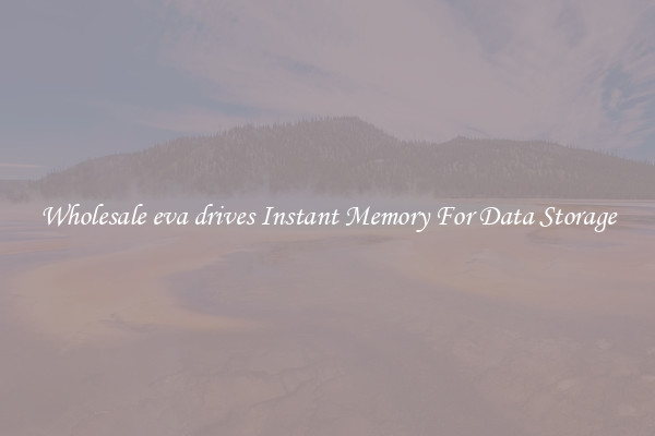 Wholesale eva drives Instant Memory For Data Storage