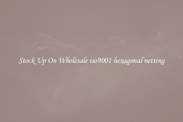 Stock Up On Wholesale iso9001 hexagonal netting