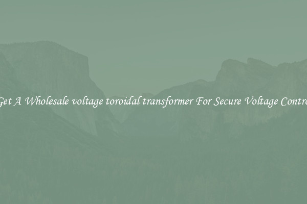 Get A Wholesale voltage toroidal transformer For Secure Voltage Control