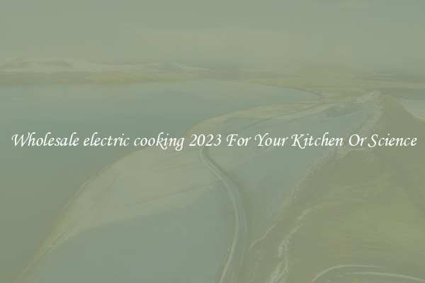 Wholesale electric cooking 2023 For Your Kitchen Or Science