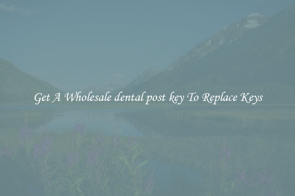 Get A Wholesale dental post key To Replace Keys