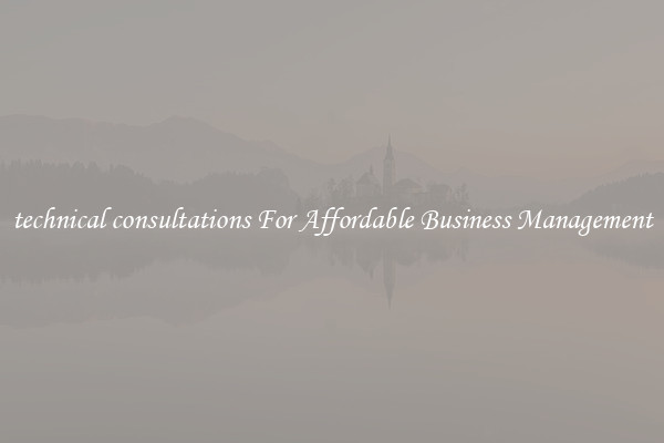technical consultations For Affordable Business Management