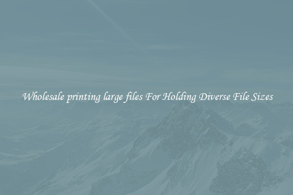 Wholesale printing large files For Holding Diverse File Sizes