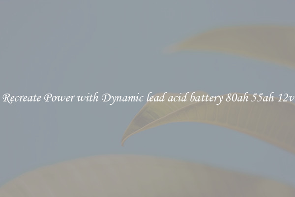 Recreate Power with Dynamic lead acid battery 80ah 55ah 12v