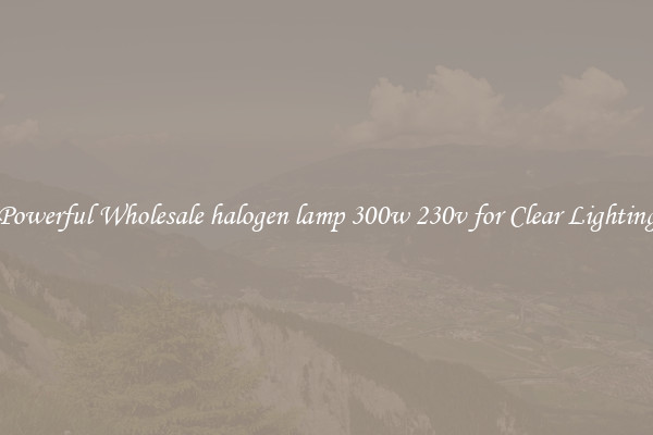 Powerful Wholesale halogen lamp 300w 230v for Clear Lighting