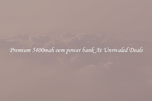 Premium 5400mah oem power bank At Unrivaled Deals