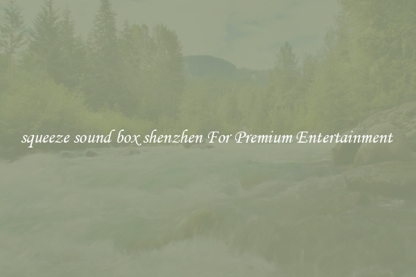 squeeze sound box shenzhen For Premium Entertainment 