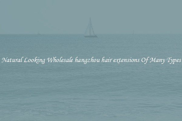 Natural Looking Wholesale hangzhou hair extensions Of Many Types