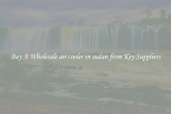Buy A Wholesale air cooler in sudan from Key Suppliers