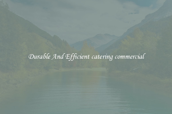 Durable And Efficient catering commercial