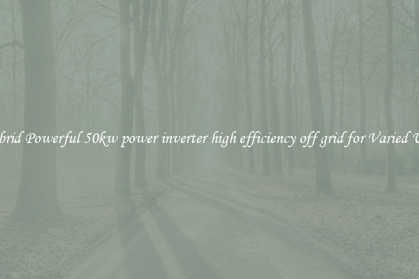 Hybrid Powerful 50kw power inverter high efficiency off grid for Varied Uses