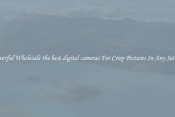 Powerful Wholesale the best digital cameras For Crisp Pictures In Any Setting