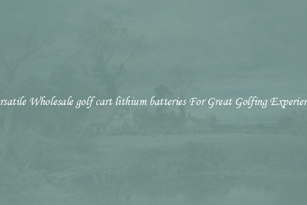 Versatile Wholesale golf cart lithium batteries For Great Golfing Experience 