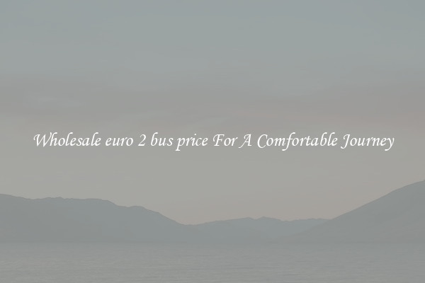 Wholesale euro 2 bus price For A Comfortable Journey