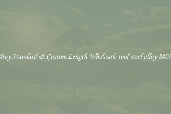 Buy Standard & Custom Length Wholesale tool steel alloy 8407