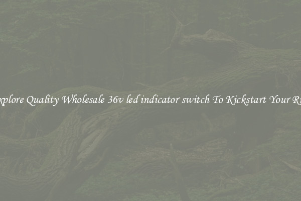 Explore Quality Wholesale 36v led indicator switch To Kickstart Your Ride
